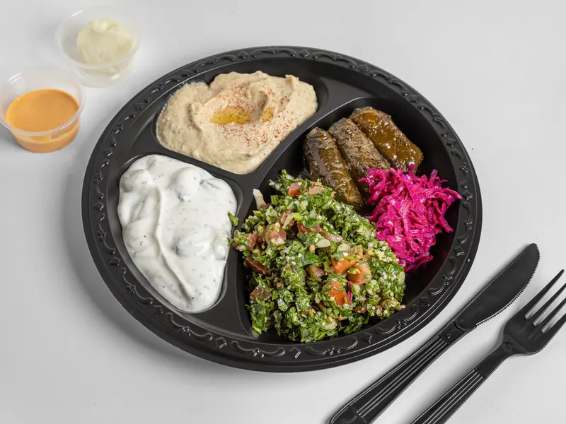 Vegetarian plate with hummus, tzatziki, tabbouleh, grape leaves and pickled cabbage